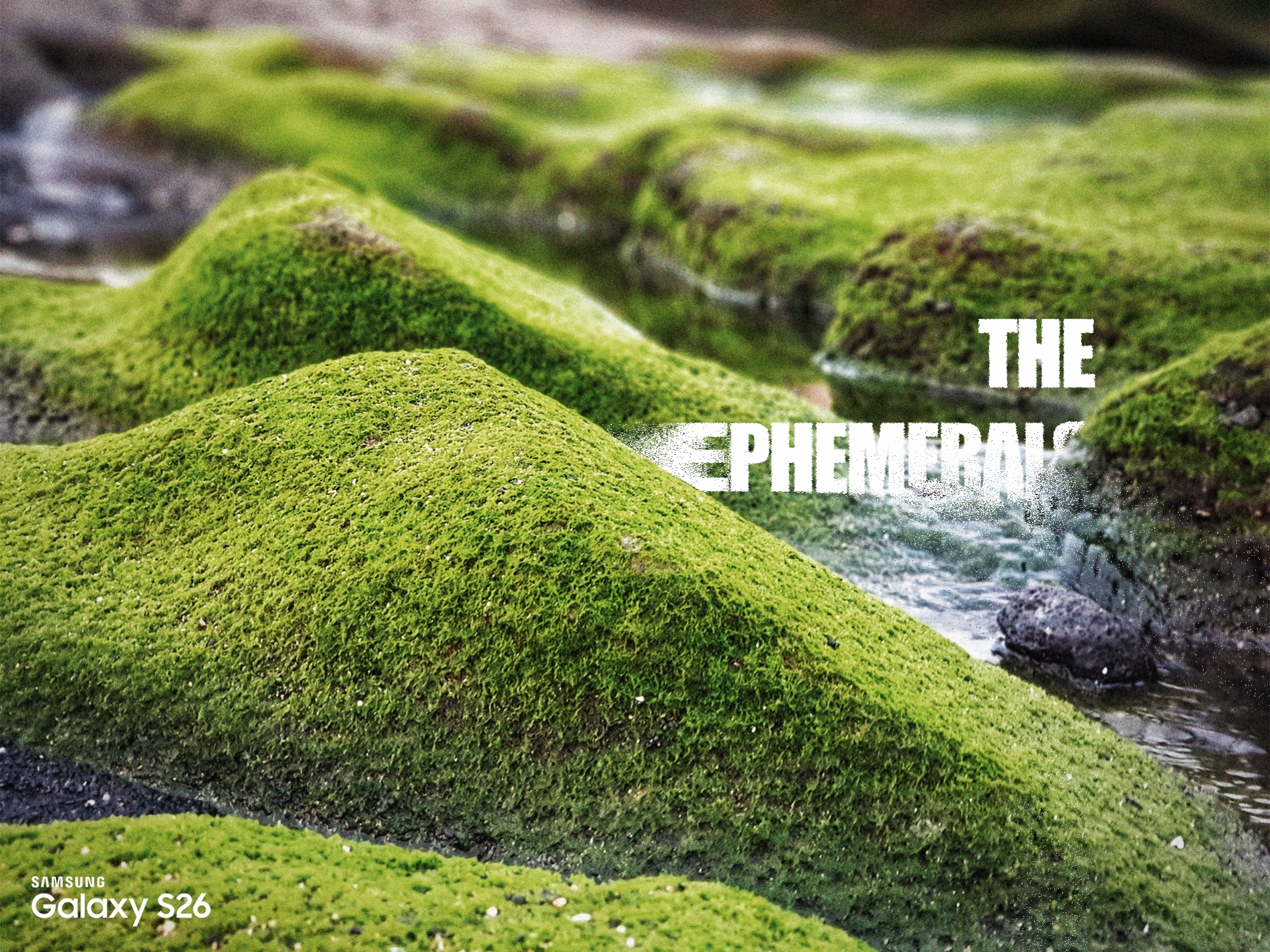 Ephemerals editorial page 6